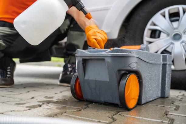 Best Lawn Renovation and Restoration  in South Oroville, CA